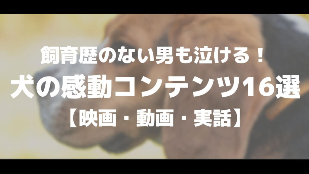 飼育歴のない男も泣ける 犬の感動コンテンツ16選 映画 動画 実話 マチブログ